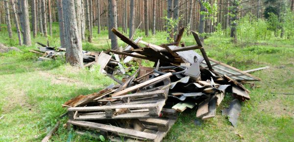 Debris Removal Service in Sun Prairie